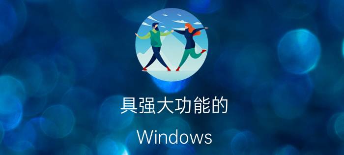 具强大功能的 Windows Vista Ultimate